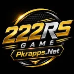 222RS Game icon