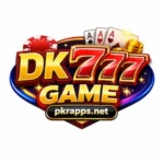 DK222 Game