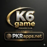 k6 Game logo