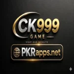 CK999 Game icon