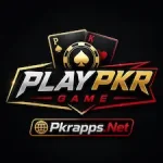 Playpkr Game icon