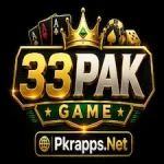 33Pak Game icon