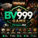 BV999 Game icon
