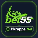 Bet 55 Game icon