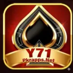 Y71 Game Icon