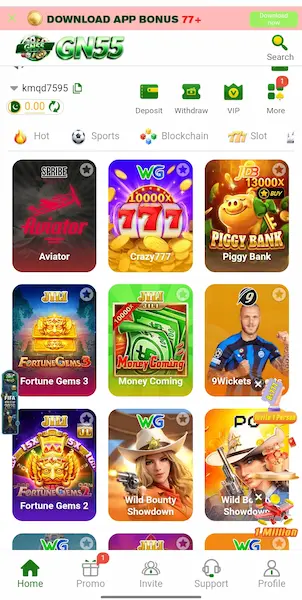 Bn55 Game APK
