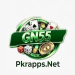 Bn55 Game icon