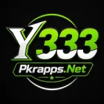 Y333 Game icon